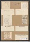 Campylodiscus kuetzingii Bail. (de-Toni-Nr.: Genus 57, Species 2434) Zeichnungen Sammlung Grunow Nr. 4902 (NHMW-BOT-W0373101)